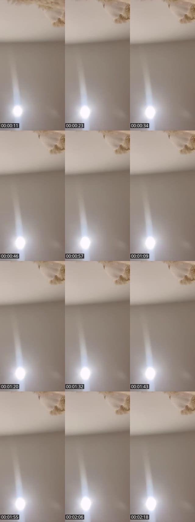 TikTok live: Ven entra🫠 by @alexaferrer24