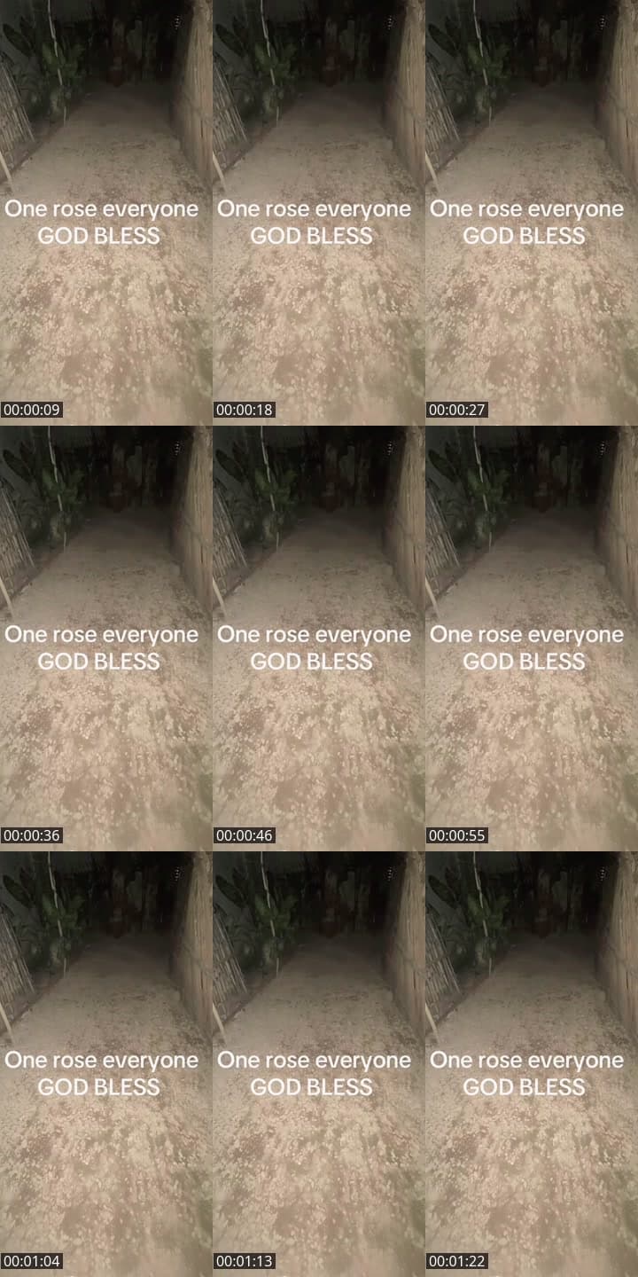 Music only
