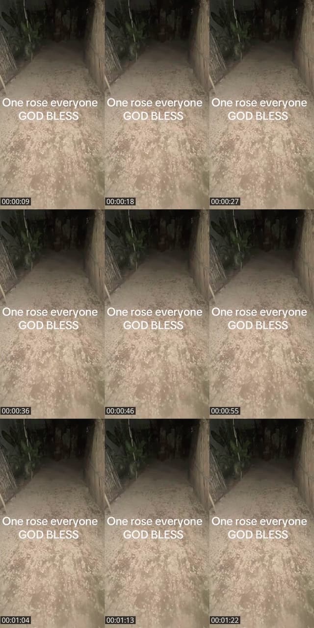 TikTok live: Music only by @uollamegmail