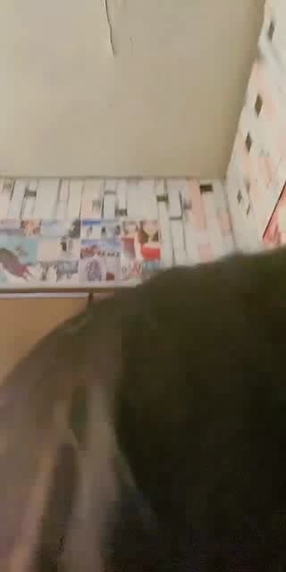 Jwu