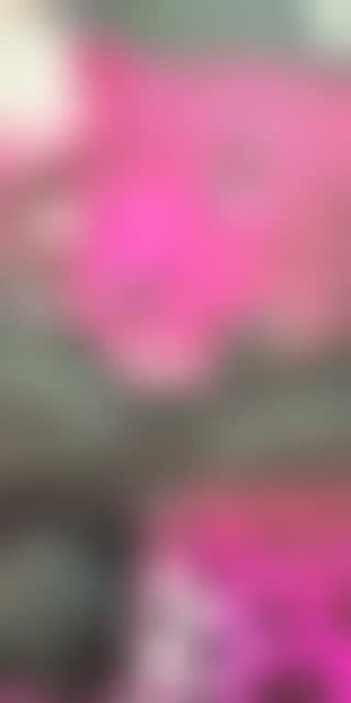 @totaatoffical52026t TikTok live from 2026-04-30