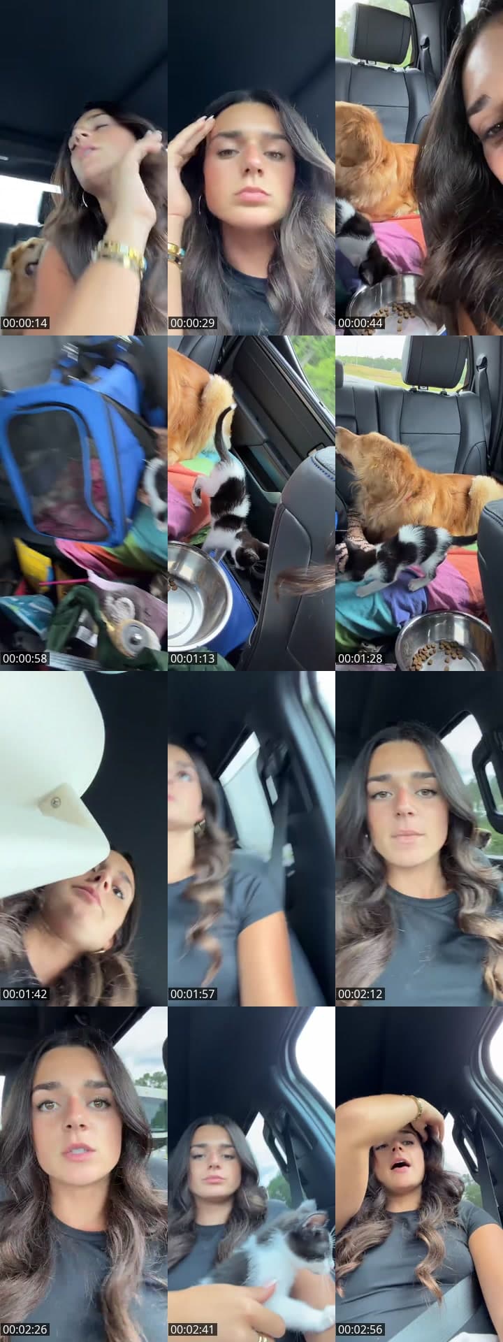 Road trip🐆