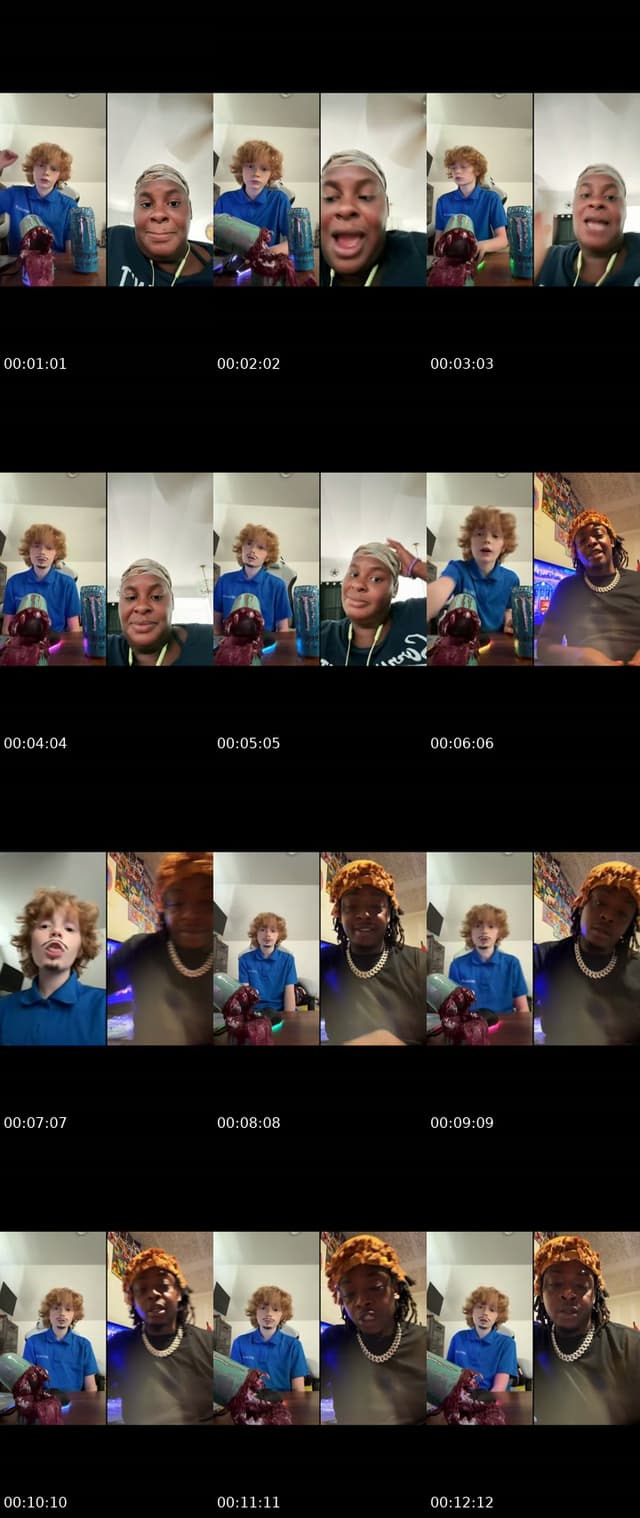 TikTok live: los animales 🐾 by @takeabreakandbeatherian