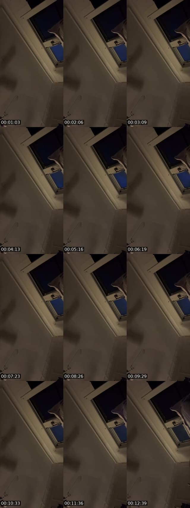 TikTok live: Munchin by @9anti_