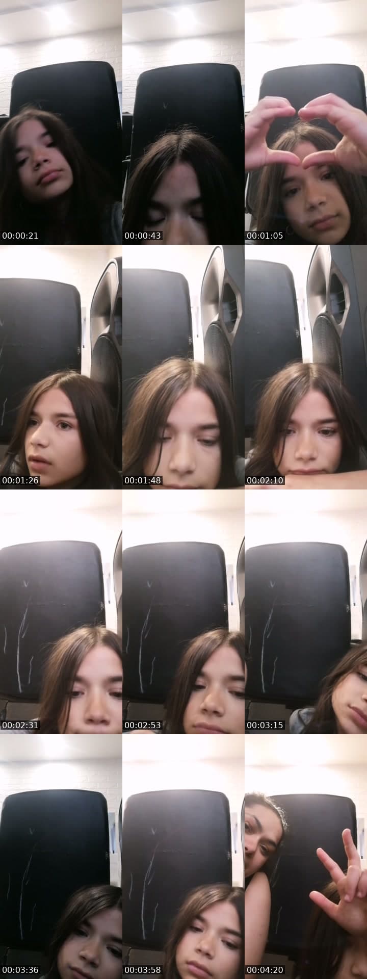 🦋🦋🦁 🦋🦋