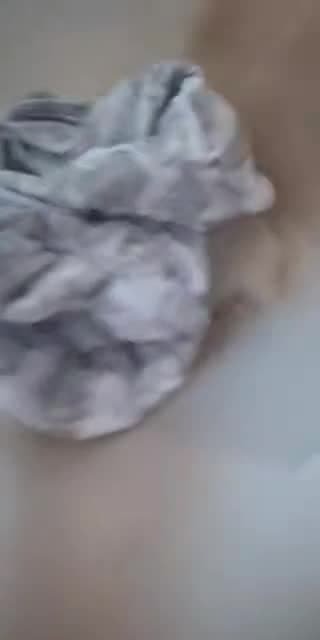 @babygirlforlife250 TikTok live stream