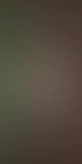 @isabelmontenegro.live TikTok live stream