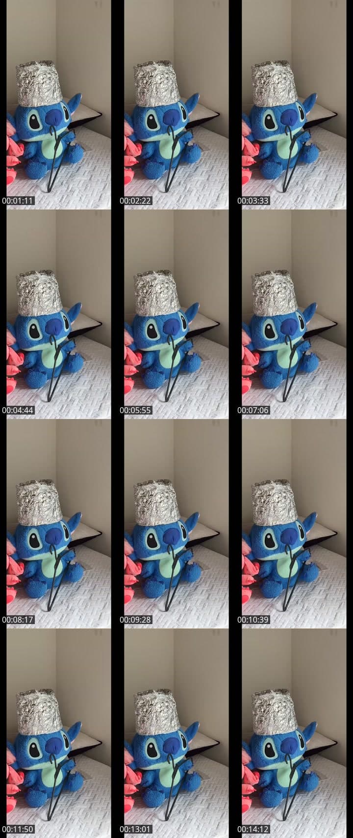 @xiomara.cm3 TikTok live stream