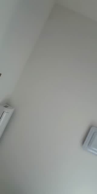 @lanny3124 TikTok live from 2026-05-11