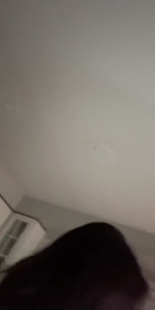 @muffdiiver TikTok live from 2026-05-12