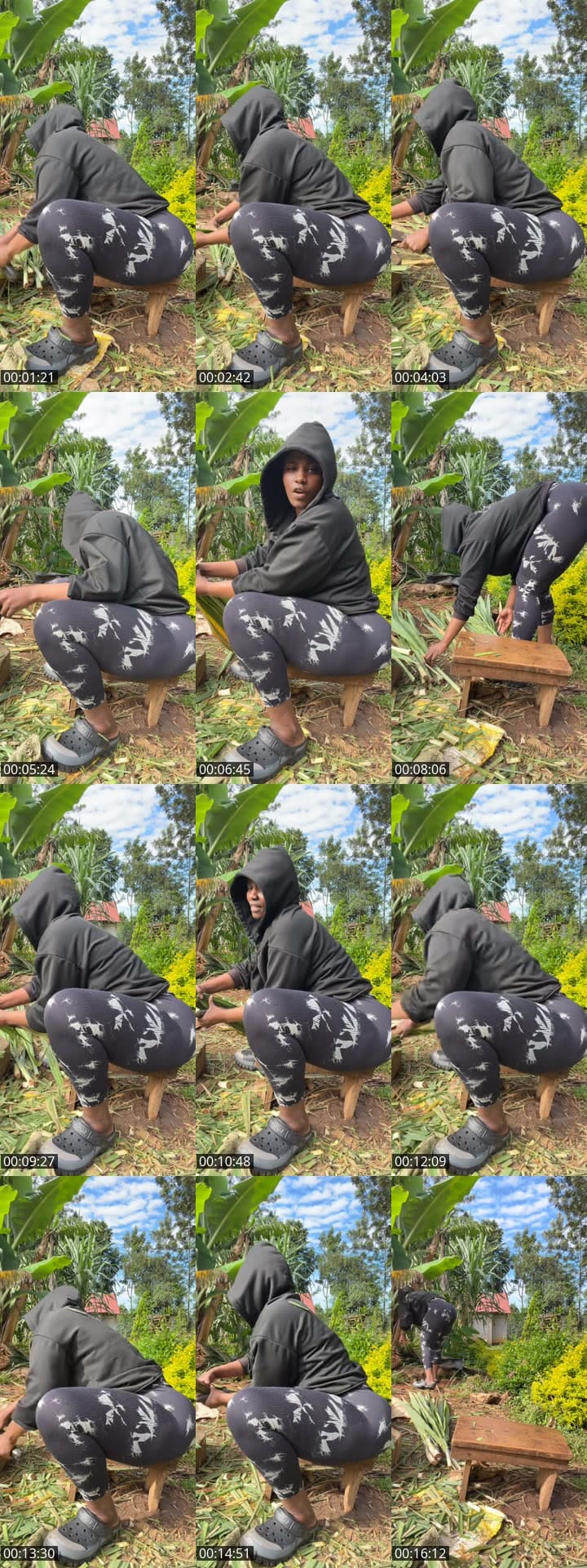 @wrenly_zy7 TikTok live stream