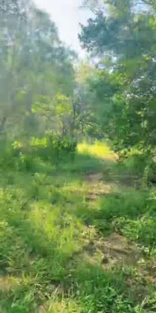 @blisshouseyoga TikTok live stream