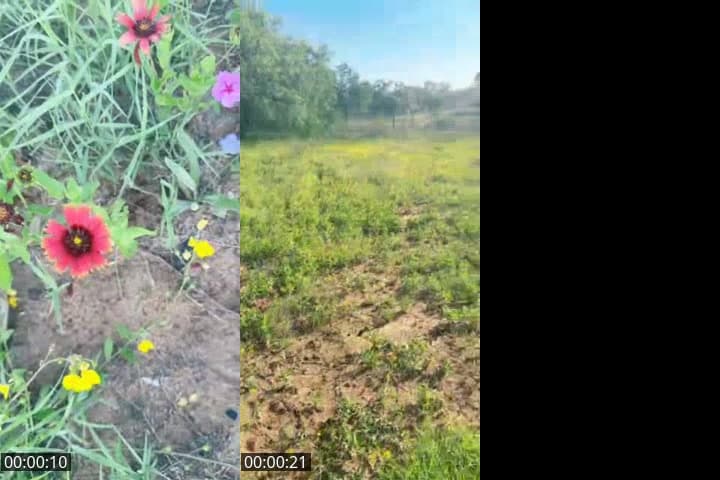 @blisshouseyoga TikTok live stream