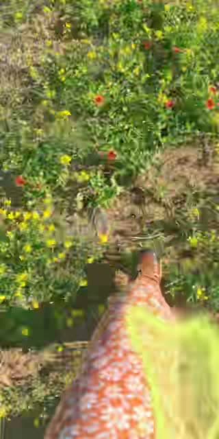 @blisshouseyoga TikTok live stream