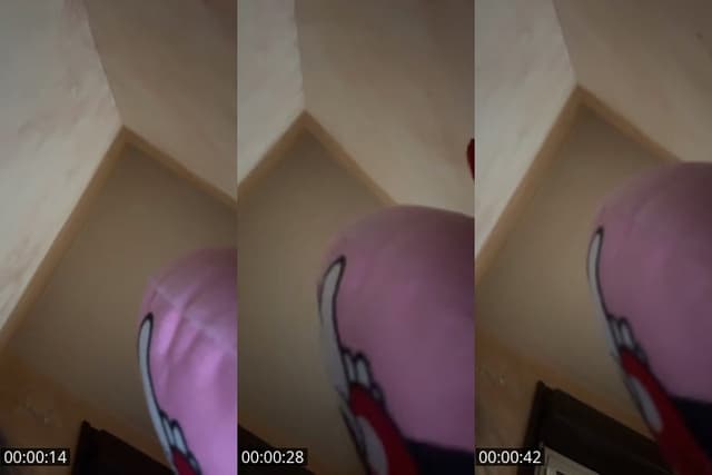 TikTok live: seguiteci su ig by @utente10101010101110