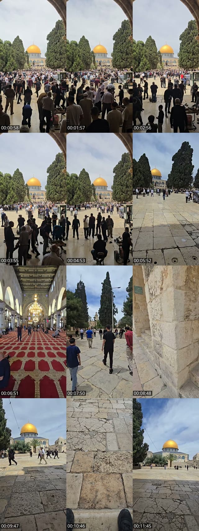 TikTok live: (أولى القبلتين) المسجد الأقصى🕌  by @alzaeim510