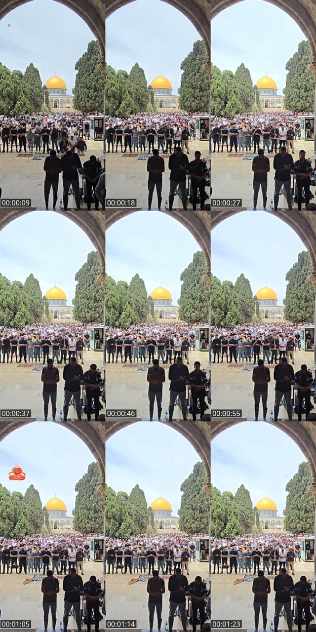 TikTok live: (أولى القبلتين) المسجد الأقصى🕌  by @alzaeim510