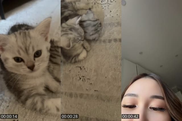 TikTok live: Almaty by @dii___aii