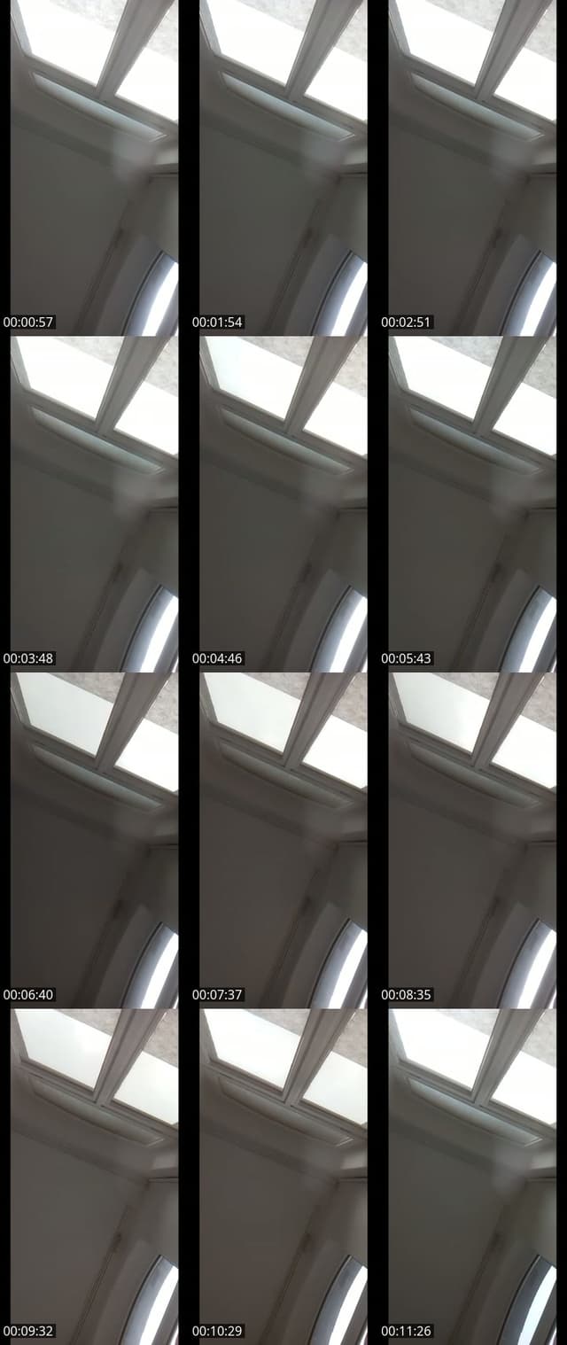 @chanti_bernhards_amazone TikTok live from 2026-05-16