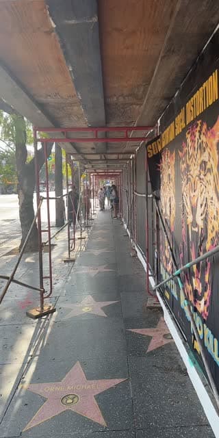 TikTok live: hollywood ! by @bunnydollxoxo