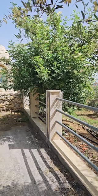 @itawiarabia Lebanon TikTok live from 2026-05-17