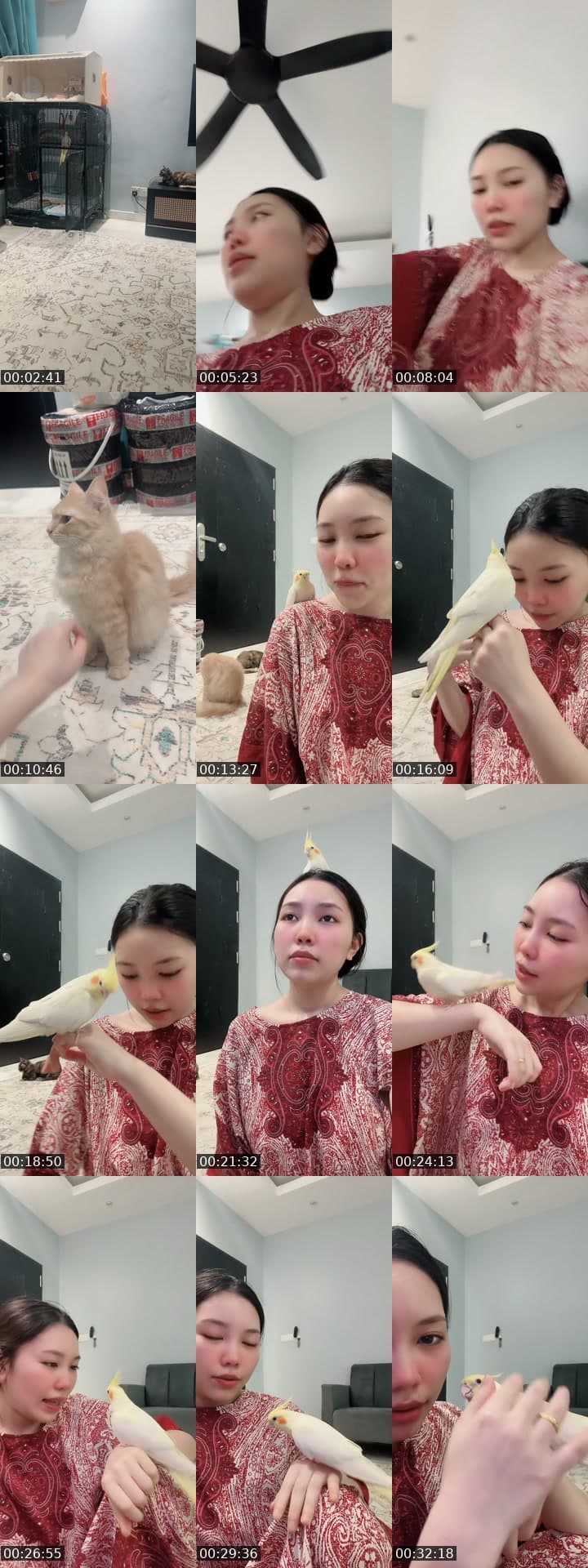 @user0701.77 TikTok live stream