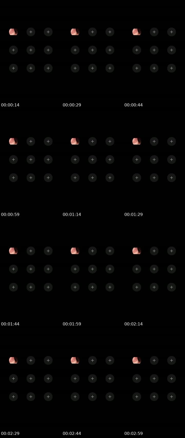 On my daily walk