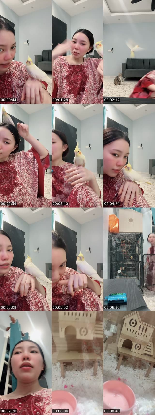 @user0701.77 TikTok live from 2026-05-20
