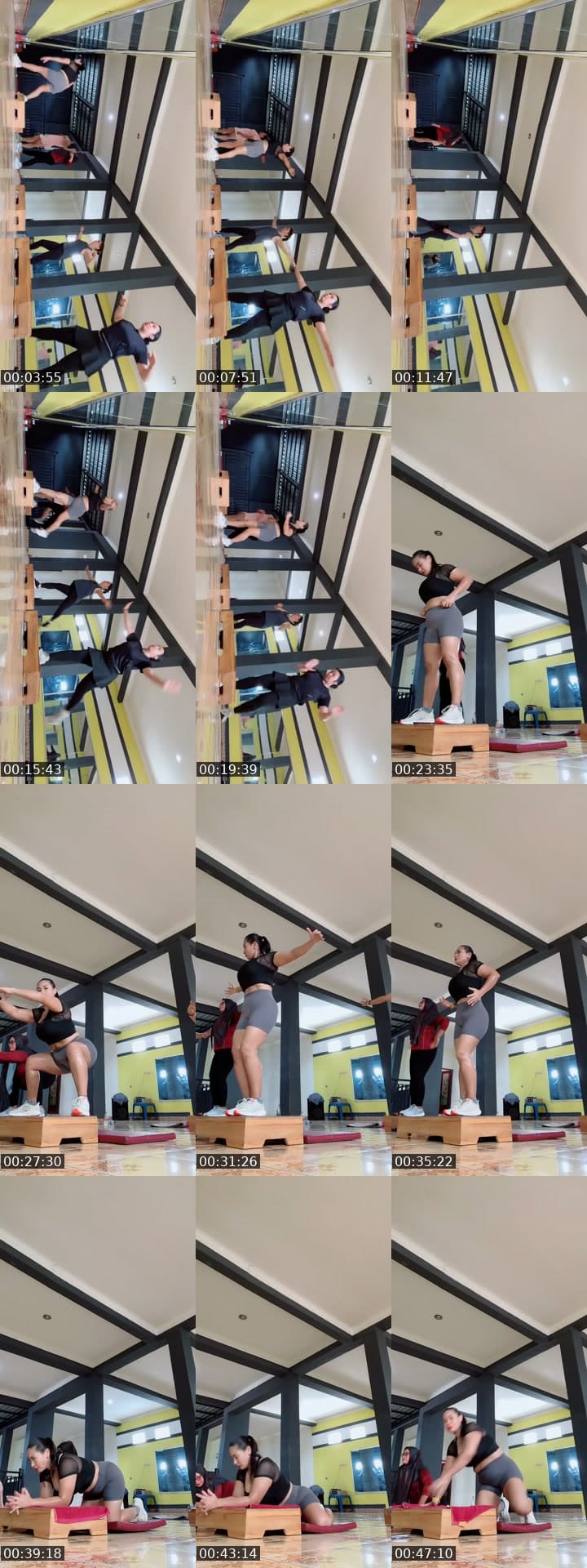 Steprobic RADJA GYM