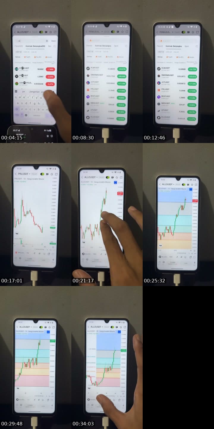 @the_whale_circle TikTok live stream