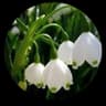 @230584milla
