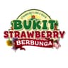 @bukitstrawberryberbunga