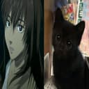 @casca.02