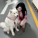 @cherry_kimtuyen