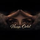 @havva.oztel