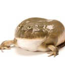 @jeditian7