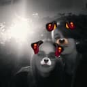 @laalbiiiiii_05