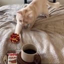 @leooooo2424