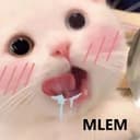 @meow.dancexinh