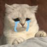 @nooyim0_0