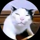 @ppppppppp_168