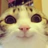 @rrrrrrrrrrrrrrrrrli