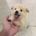 @saladwoodleedoo