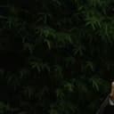 @userrrr1479807425585