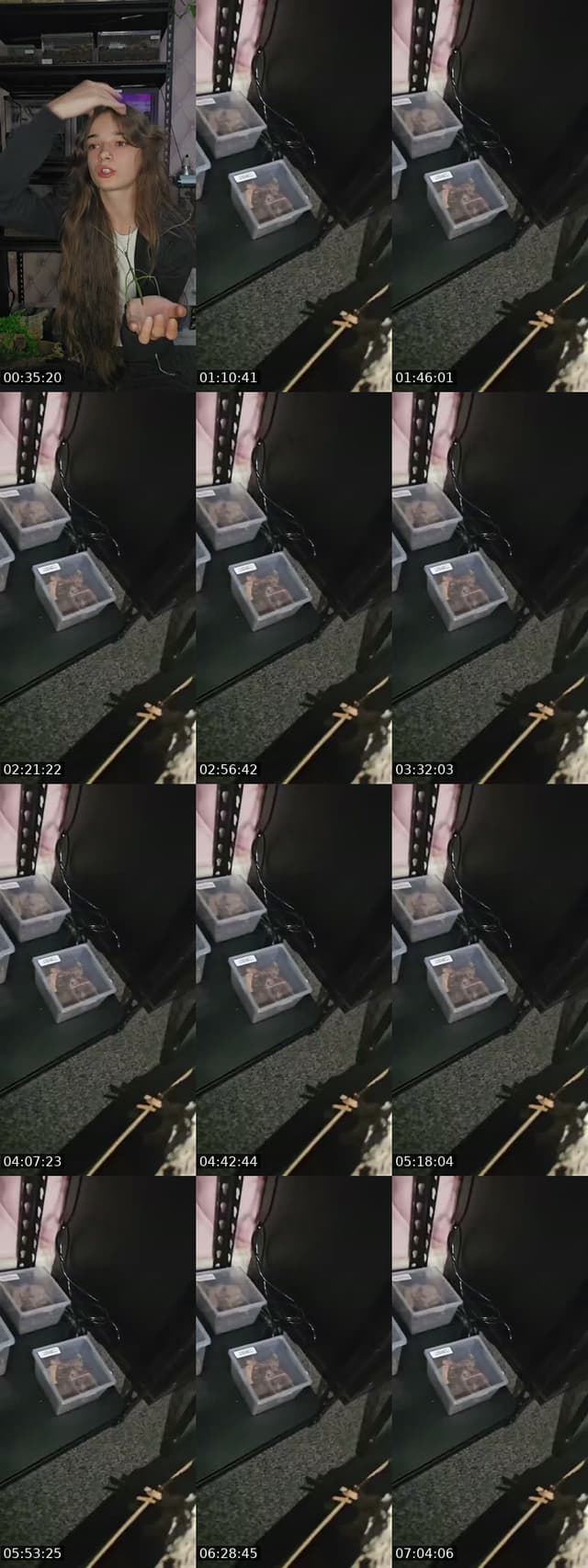 TikTok live: WARNING EXOTIC PETS-(I'm 19) by @skys.animal.zoo