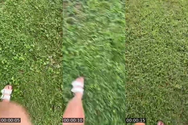 @funny.pod.3 TikTok live