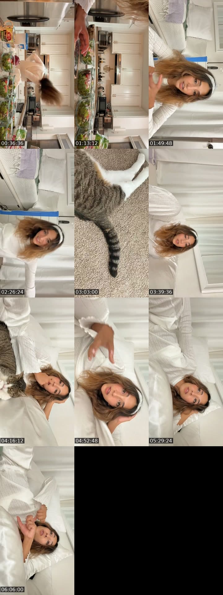 @isabelmontenegro.live TikTok live stream