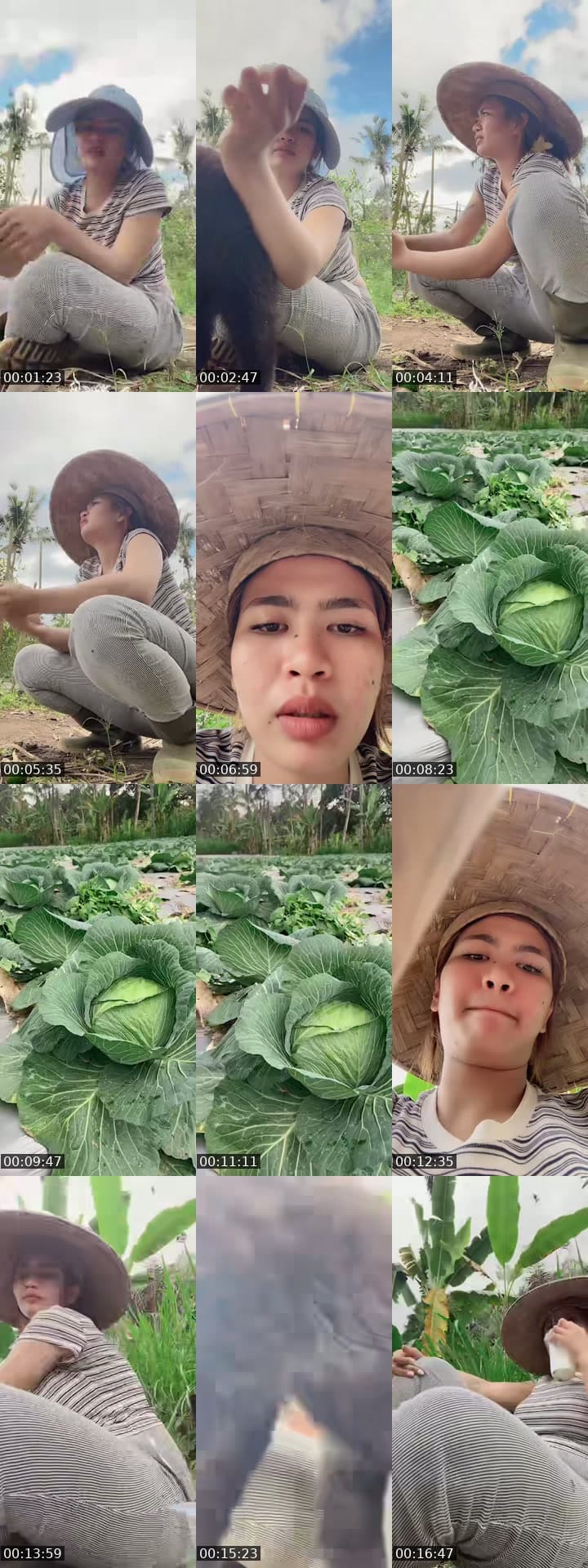 @callmepani4 TikTok live stream