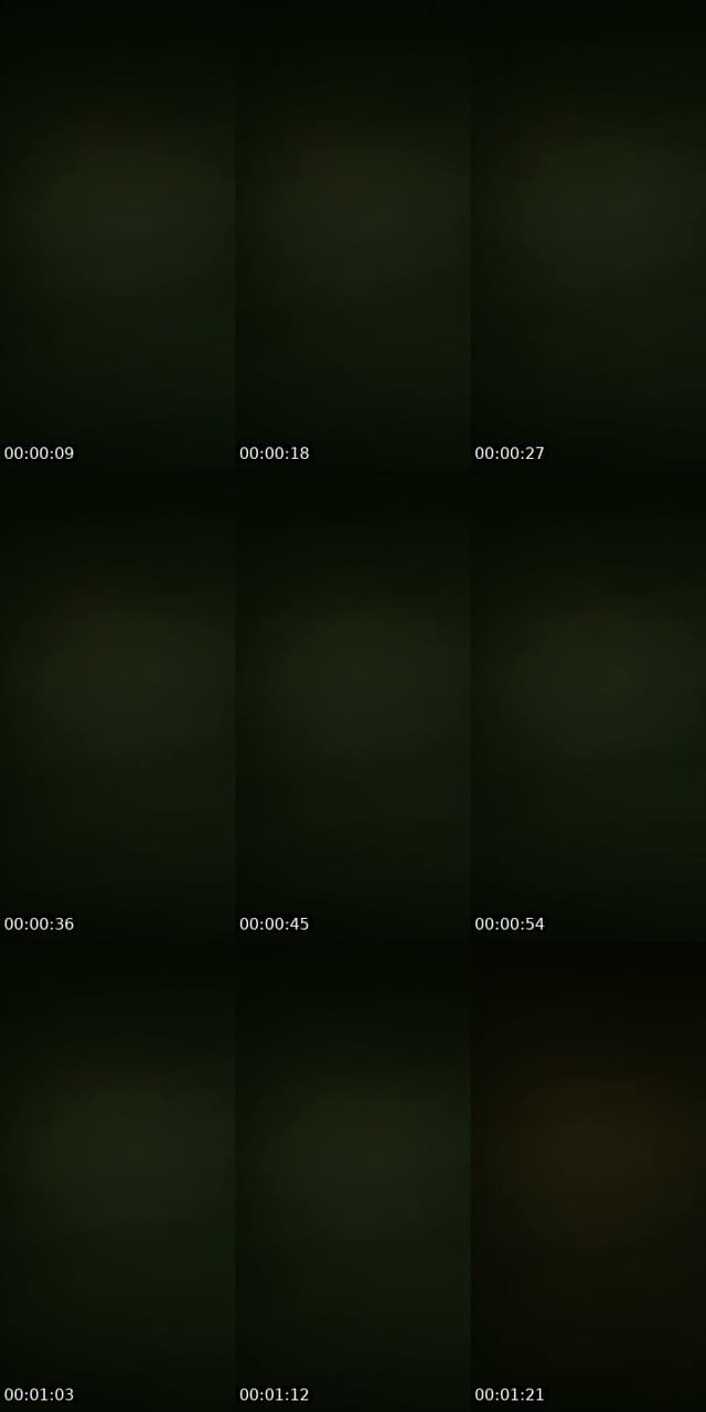 @liliquatar11 TikTok live