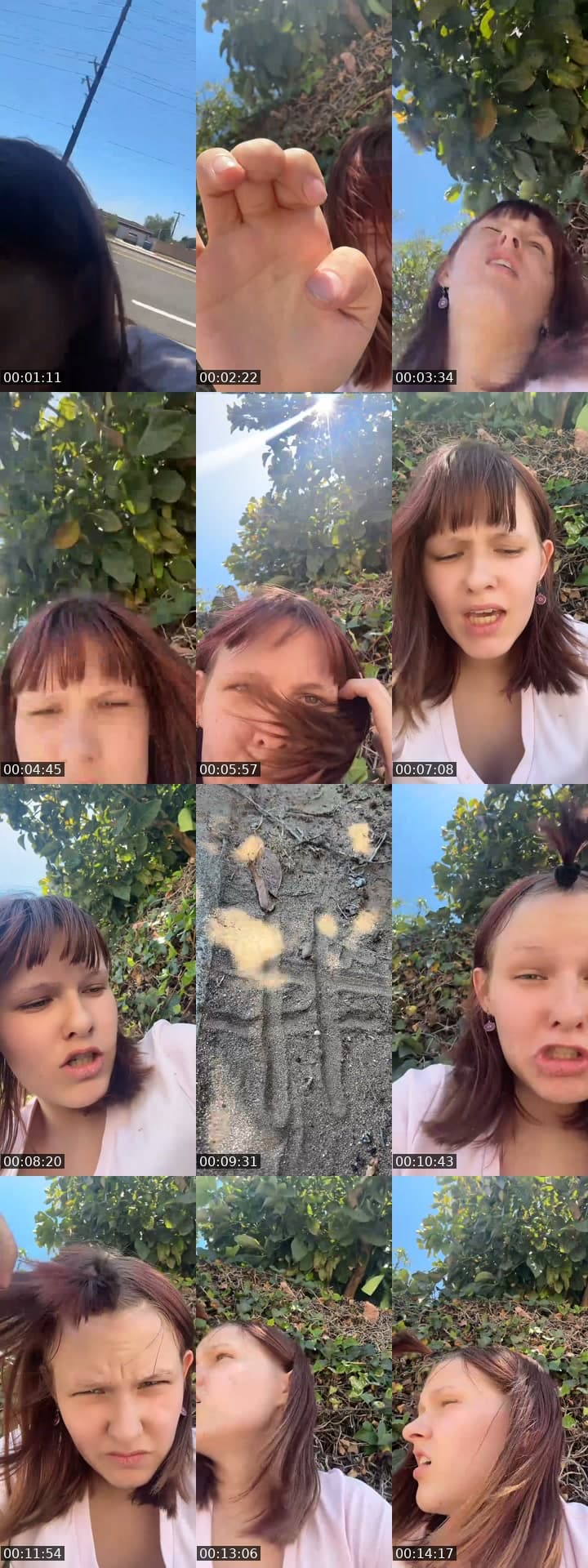 @donkeynubs TikTok live stream